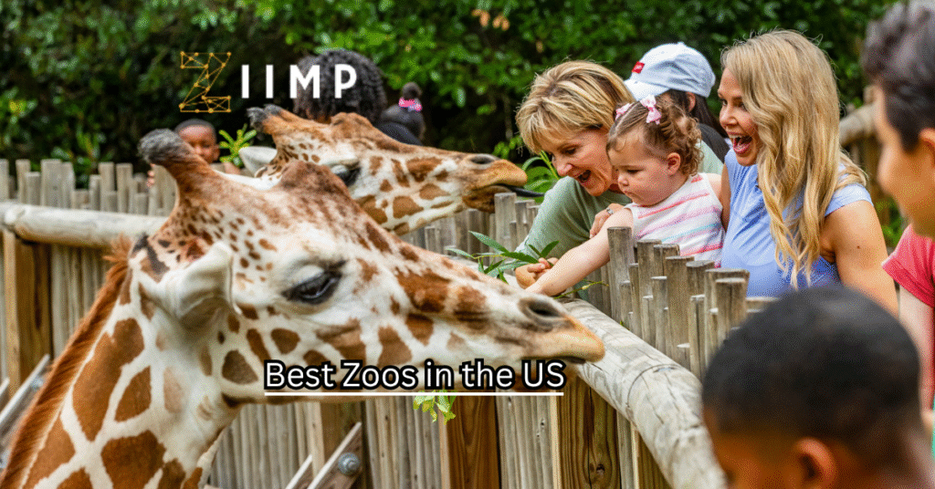 51 Best Zoos in the US You’ll Never Forget
